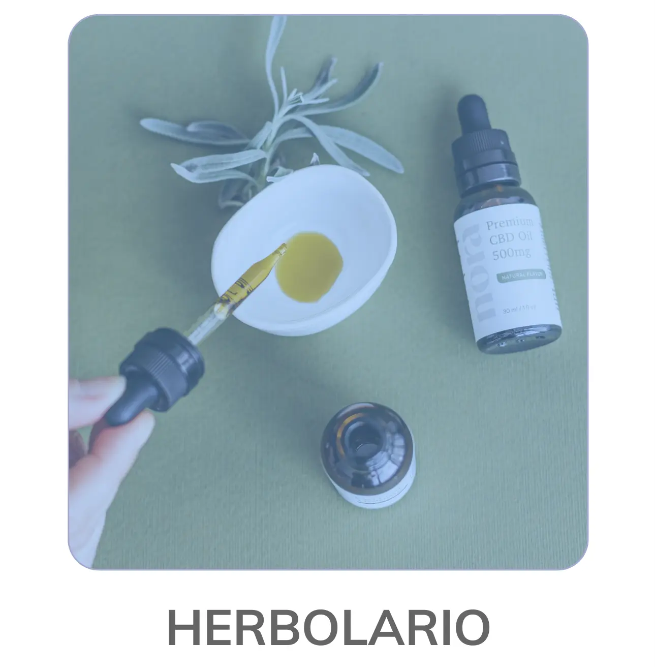 icono de herbolario