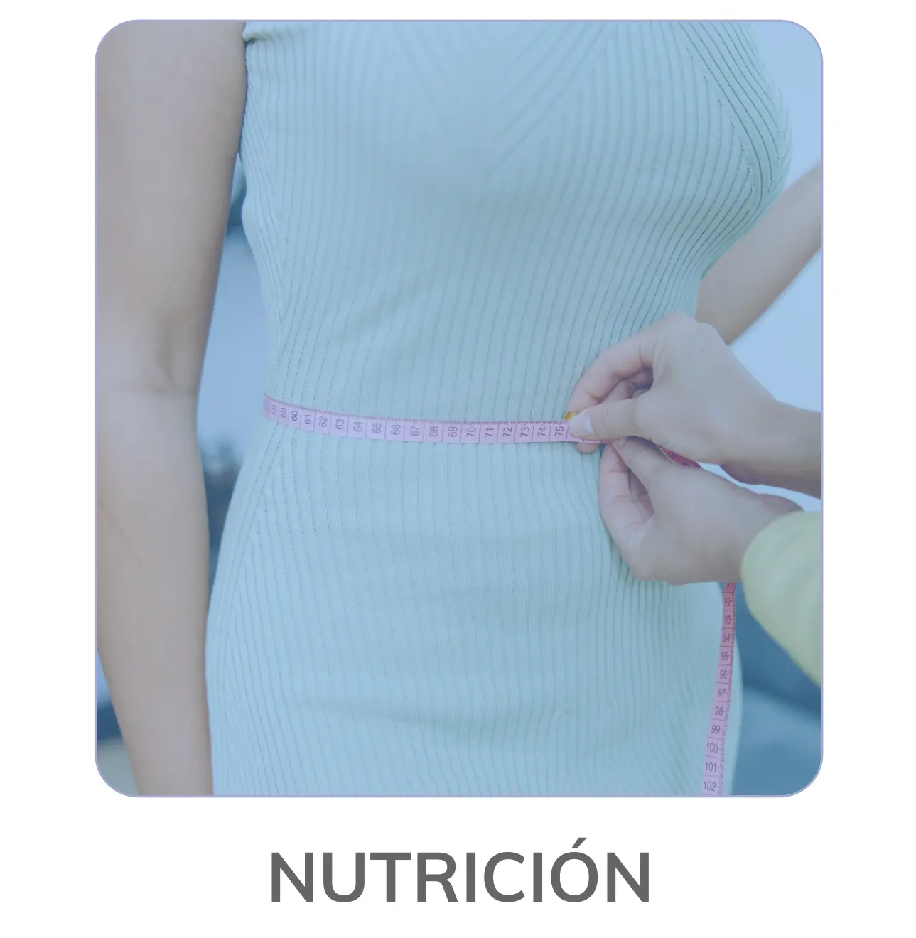 icono de nutrición